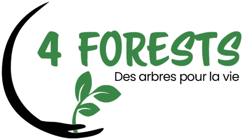 4Forests, des arbres pour la vie
